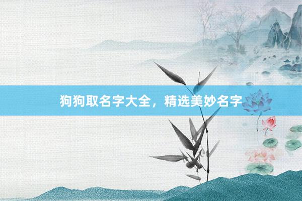 狗狗取名字大全，精选美妙名字