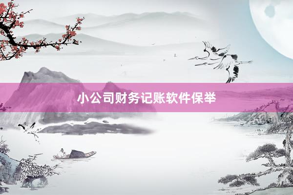 小公司财务记账软件保举
