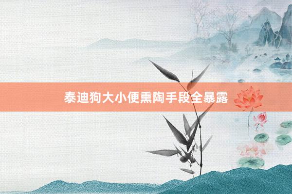 泰迪狗大小便熏陶手段全暴露